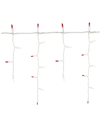 Northlight 100-count Mini Icicle Incandescent Christmas Lights - Red & Clear