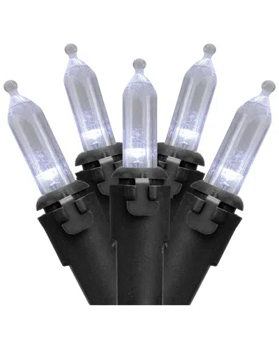 Northlight 100-count Pure White Led Mini Christmas Lights In Black