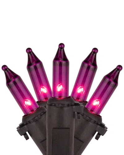 Northlight 100-count Purple Mini Incandescent Halloween Light Set 20.25ft Black Wire In Multi