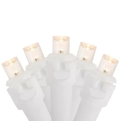 Northlight 100ct Warm White Led 33ft White Wire String Lights