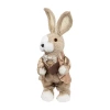 Northlight Easter Rabbit Figurine With Plaid Jacket In Brown