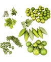 Northlight 125-piece Club Pack Of Shatterproof Tropical Green Kiwi Christmas Ornaments In Lime
