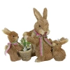 Northlight 12.5in Sisal Mommy And Baby Bunnies Easter Figurine In Brown