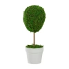 Northlight 14" Reindeer Moss Ball Potted Artificial Spring Topiary Tree In Green