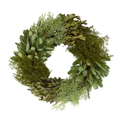 Northlight 14in Cedar Succulent And Day Grass Green Wreath