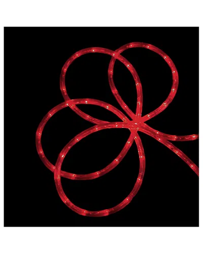 Northlight 150' Commercial Grade Led Indoor/outdoor Christmas Rope Lights On A Spool In Red
