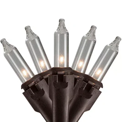 Northlight 150ft 300ct Commercial Mini Brown Wire String Lights In Multi