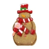 Northlight 16" Led Lighted Gingerbread Snowman With Lollipop Christmas Figurine In Multi