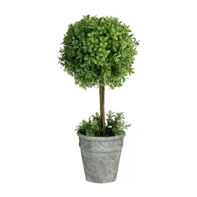 Northlight 18" Boxwood Potted Artificial Plant In Multi