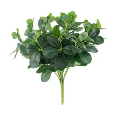 Northlight 18'' Decorative Artificial Green Two Tone Polyscias Floral Bush