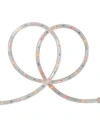 Northlight 18' Multi-color Indoor/outdoor Christmas Rope Lights In Multi