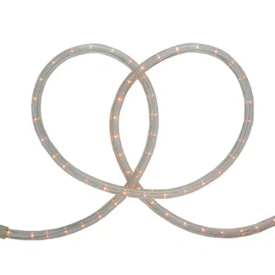 Northlight 18ft Clear Incandescent String Lights In White