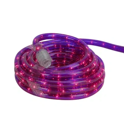 Northlight 18ft Pre Lit Purple Incandescent Outdoor String Lights