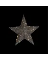 Northlight 18in Led Lighted Silver Hanging Star Outdoor Christmas Display In Silver