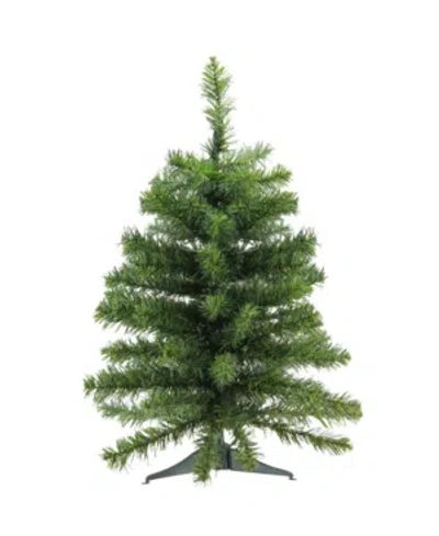 Northlight 2' Canadian Pine Artificial Christmas Tree In Green
