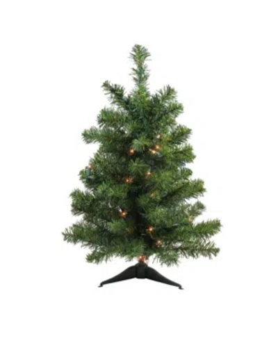 Northlight 2' Pre-lit Canadian Pine Artificial Christmas Tree In Green