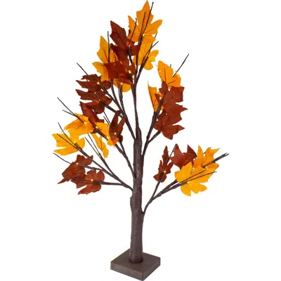 Northlight 2' Pre-lit Maple Artificial Fall Harvest Tree- Clear Led Lights In Multi