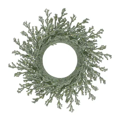 Northlight 20" Artificial Glittered Coral Wreath In Green