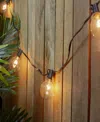 Northlight 20 Count Clear G50 Globe Patio Lights With 19' Black Wire In Clear