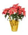 Northlight Dark Pink Artificial Christmas Poinsettia 20" In Pink