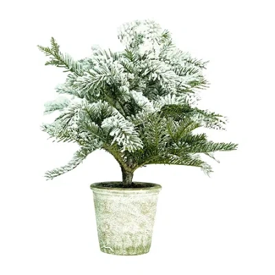 Northlight 20'' Flocked White And Green Artificial Pine Tree With A Pot