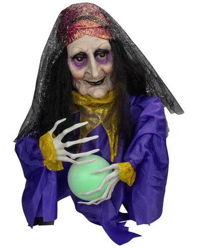 Northlight 20in Lighted & Animated Fortune Teller Halloween Decoration In Green