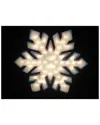 Northlight 20in Lighted Snowflake Double Sided Christmas Window Silhouette Decoration