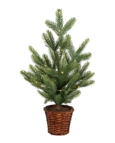 Northlight 20in Pre-lit Artificial Pine Christmas Tree With Basket Base - Warm  White Led Lights In Green