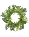 Northlight 21in Eucalyptus & Foliage Artificial Floral Spring Wreath In Green