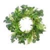 Northlight 21in Eucalyptus Foliage Wreath In Green
