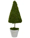 NORTHLIGHT NORTHLIGHT 21IN REINDEER MOSS POTTED ARTIFICIAL TOPIARY TREE