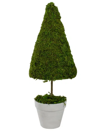 Northlight 21in Reindeer Moss Potted Artificial Topiary Tree In Green