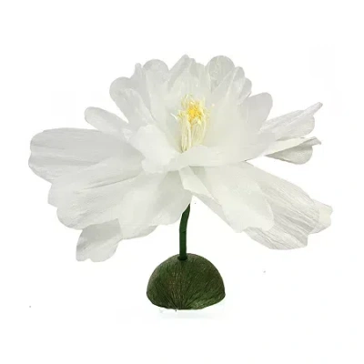 Northlight 22'' White And Yellow Spring Floral Artificial Craft Stem