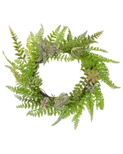 Northlight 22in Succulents & Foliage Artificial Spring Twig Wreath In Green