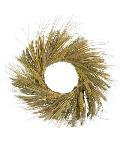 Northlight 22in Wheat & Straw Artificial Fall Harvest Wreath In Green