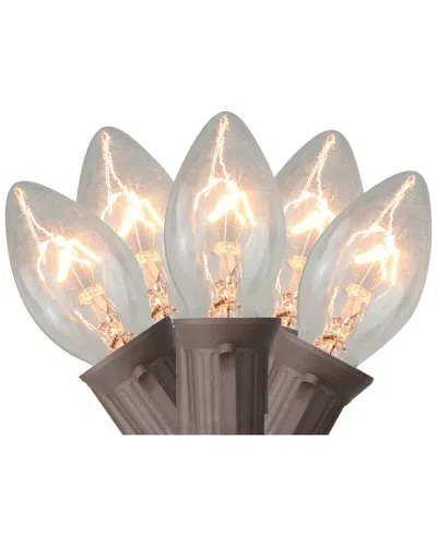 Northlight 24ft 25 Count Clear C7 Christmas Lights