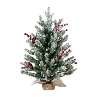 Northlight 25" Potted Flocked Mini Fir Pine 2 Foot Flocked Pine Christmas Tree In Multi