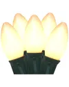 Northlight 25ct Clear & White Opaque C9 Christmas Lights In Clear
