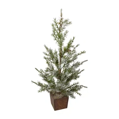 Northlight 28" Potted Frosted Pine 2 Foot Pine Christmas Tree In Green
