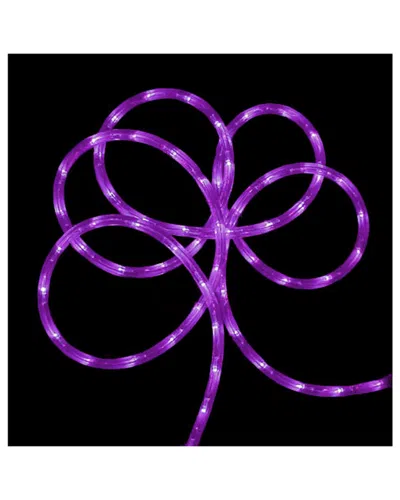 Northlight 288' Commercial Grade Led Indoor/outdoor Christmas Rope Lights On A Spool In Purple