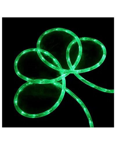 Northlight 288' Commercial Grade Led Indoor/outdoor Christmas Rope Lights On A Spool In Green