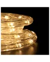 Northlight 288' Commercial Grade Warm Led Indoor/outdoor Christmas Rope Lights On A Spool