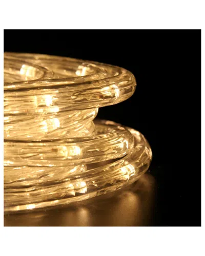 Northlight 288' Commercial Grade Warm Led Indoor/outdoor Christmas Rope Lights On A Spool In Gold