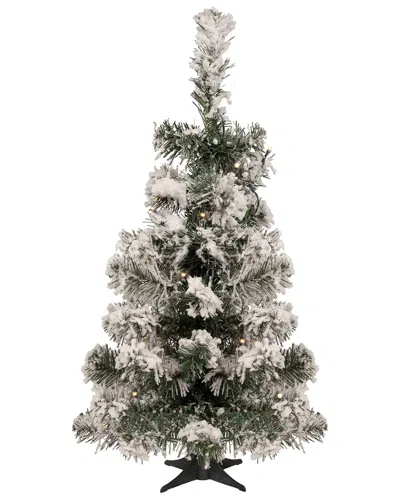 Northlight 2ft Pre-lit Medium Flocked Bristol Pine Artificial Christmas Tree