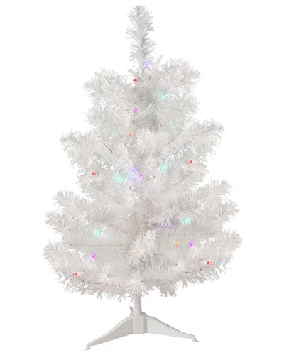 Northlight 2ft Pre-lit Medium Snow White Pine Artificial Christmas Tree