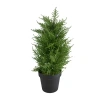 Northlight 2ft Real Touch Cedar Pine Petite Arborvitae In Round Pot Artificial Tree In Green