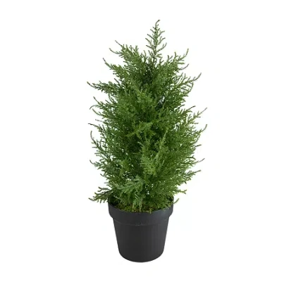 Northlight 2ft Real Touch Cedar Pine Petite Arborvitae In Round Pot Artificial Tree In Green