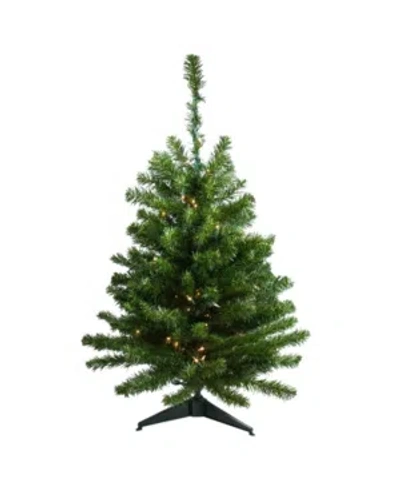 Northlight 3' Pre-lit Canadian Pine Artificial Christmas Tree In Green
