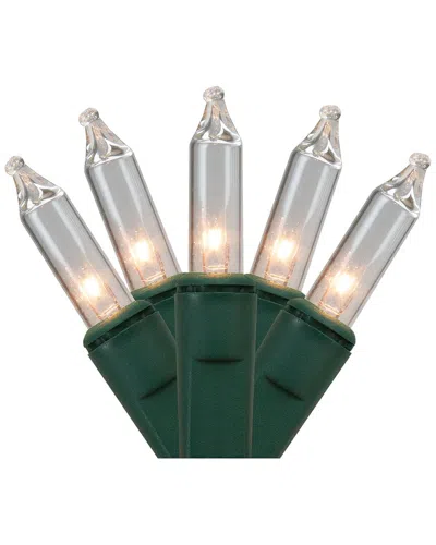 Northlight 300ct Clear Mini Christmas Lights