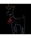 Northlight 36in Lighted Standing Reindeer Silhouette Outdoor Display In White